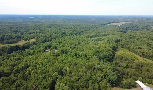 Photo #7 of 6070 Hwy 252, Donalds, SC 57.5 acres