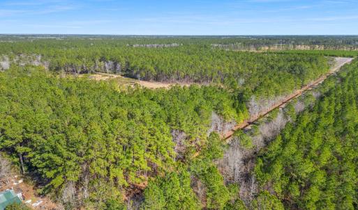 Photo #15 of TBD Williams Hill Rd., Hemingway, SC 53.5 acres