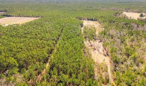 Photo #8 of TBD Williams Hill Rd., Hemingway, SC 53.5 acres