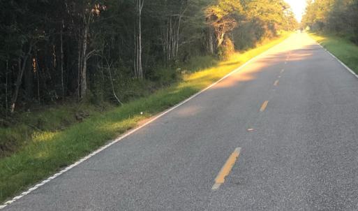 Photo #5 of TBD Williams Hill Rd., Hemingway, SC 53.5 acres