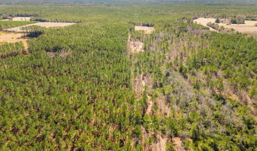 Photo #12 of TBD Williams Hill Rd., Hemingway, SC 53.5 acres