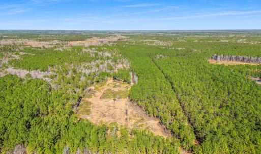 Photo #2 of TBD Williams Hill Rd., Hemingway, SC 53.5 acres