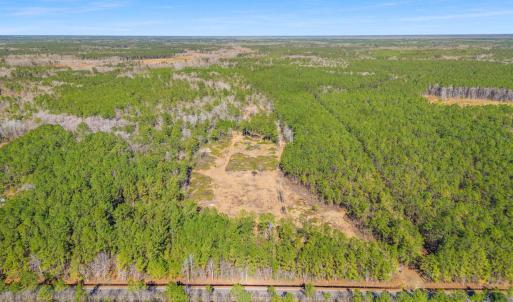 Photo #10 of TBD Williams Hill Rd., Hemingway, SC 53.5 acres