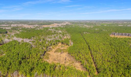 Photo #13 of TBD Williams Hill Rd., Hemingway, SC 53.5 acres