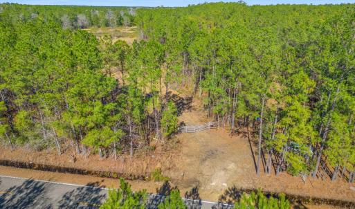 Photo #16 of TBD Williams Hill Rd., Hemingway, SC 53.5 acres
