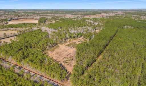Photo #9 of TBD Williams Hill Rd., Hemingway, SC 53.5 acres
