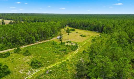 Photo #7 of TBD Williams Hill Rd., Hemingway, SC 53.5 acres
