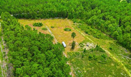 Photo #9 of TBD Williams Hill Rd., Hemingway, SC 53.5 acres