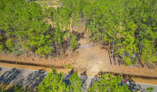 Photo #2 of TBD Williams Hill Rd., Hemingway, SC 53.5 acres