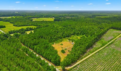 Photo #1 of TBD Williams Hill Rd., Hemingway, SC 53.5 acres
