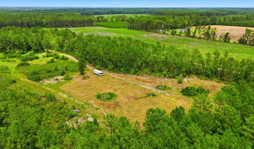 Photo #6 of TBD Williams Hill Rd., Hemingway, SC 53.5 acres