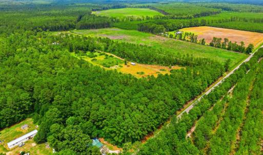 Photo #5 of TBD Williams Hill Rd., Hemingway, SC 53.5 acres