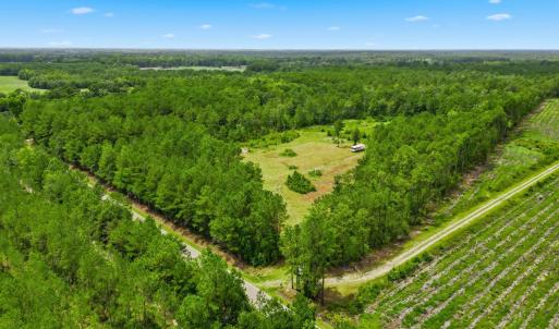 Photo #4 of TBD Williams Hill Rd., Hemingway, SC 53.5 acres