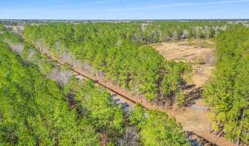 Photo #10 of TBD Williams Hill Rd., Hemingway, SC 53.5 acres