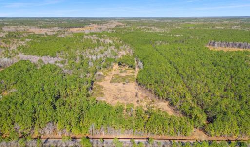 Photo #22 of TBD Williams Hill Rd., Hemingway, SC 53.5 acres