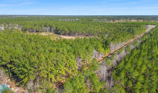 Photo #17 of TBD Williams Hill Rd., Hemingway, SC 53.5 acres
