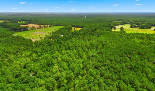 Photo #11 of TBD Williams Hill Rd., Hemingway, SC 53.5 acres