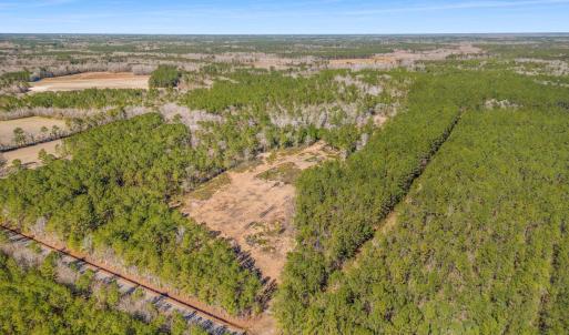 Photo #19 of TBD Williams Hill Rd., Hemingway, SC 53.5 acres