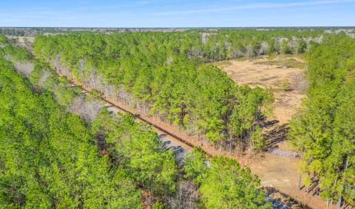 Photo #16 of TBD Williams Hill Rd., Hemingway, SC 53.5 acres