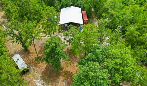 Photo #13 of TBD Williams Hill Rd., Hemingway, SC 53.5 acres