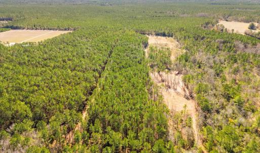 Photo #18 of TBD Williams Hill Rd., Hemingway, SC 53.5 acres
