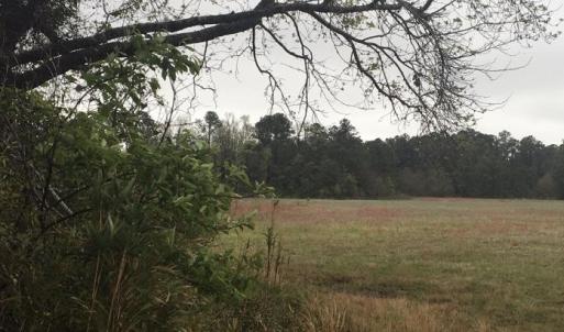 Photo #2 of 31.31 Ac Atlantic Breeze Dr., North Myrtle Beach, SC 31.3 acres