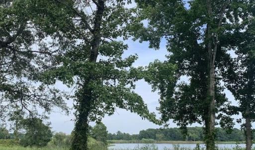 Photo #4 of 45.22 Ac Atlantic Breeze Dr., North Myrtle Beach, SC 45.2 acres