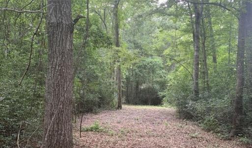 Photo #5 of 45.22 Ac Atlantic Breeze Dr., North Myrtle Beach, SC 45.2 acres