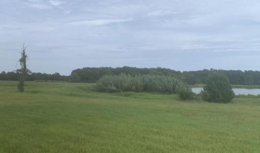 Photo #9 of 44.25 Ac Old Sanders Dr., North Myrtle Beach, SC 44.3 acres