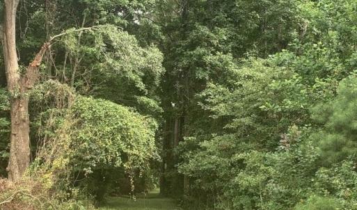Photo #2 of TBD 28.53 Acres Old Sanders Dr., North Myrtle Beach, SC 28.5 acres