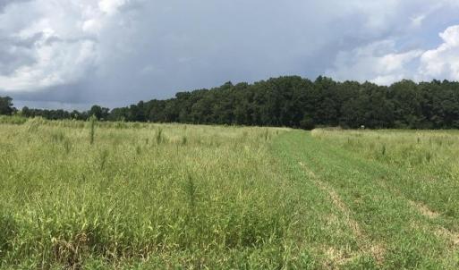 Photo #1 of TBD 30.42 Acres Atlantic Breeze Dr., North Myrtle Beach, SC 30.4 acres