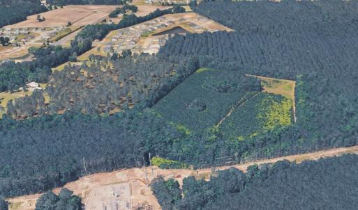 Photo #9 of TBD10 Union Rd., Conway, SC 27.0 acres