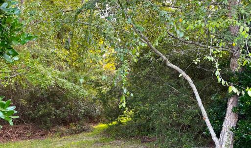 Photo #3 of 500 Spauldingwood Rd., Little River, SC 0.2 acres