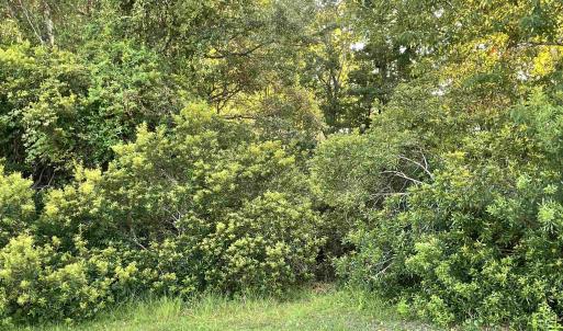 Photo #7 of 500 Spauldingwood Rd., Little River, SC 0.2 acres