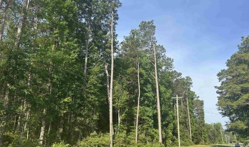 Photo #16 of 4259 Roscoe Rd., Myrtle Beach, SC 11.5 acres