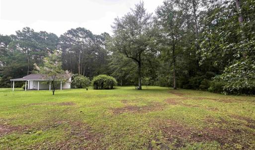 Photo #7 of 4259 Roscoe Rd., Myrtle Beach, SC 11.5 acres