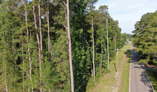 Photo #15 of 4259 Roscoe Rd., Myrtle Beach, SC 11.5 acres