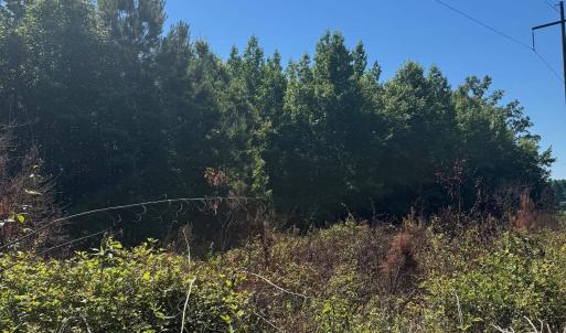 Photo #6 of TBD Derrick Ct., Marion, SC 2.6 acres