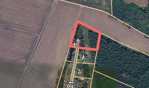 Photo #7 of TBD Derrick Ct., Marion, SC 2.6 acres