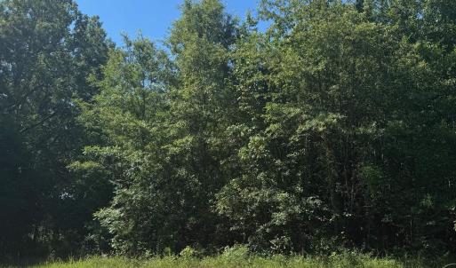 Photo #1 of TBD Derrick Ct., Marion, SC 2.6 acres