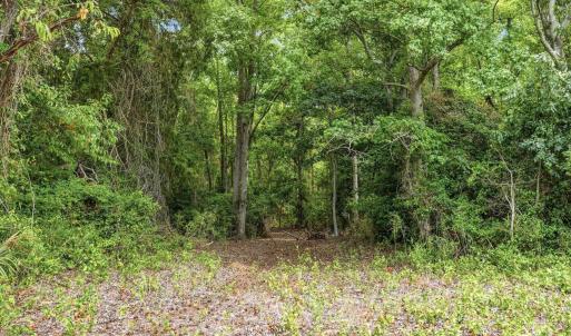 Photo #24 of 181.47 Acres Atlantic Breeze Dr., North Myrtle Beach, SC 239.0 acres