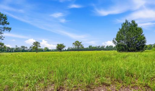Photo #25 of 181.47 Acres Atlantic Breeze Dr., North Myrtle Beach, SC 239.0 acres