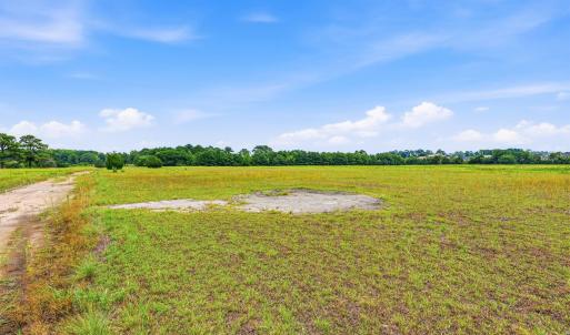Photo #22 of 181.47 Acres Atlantic Breeze Dr., North Myrtle Beach, SC 239.0 acres