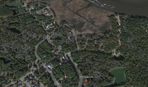 Photo #3 of 121 Pineberry Dr., Georgetown, SC 0.1 acres