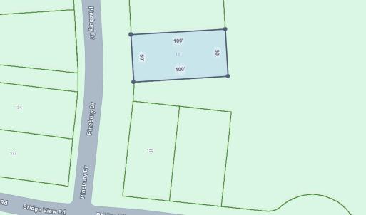 Photo #4 of 121 Pineberry Dr., Georgetown, SC 0.1 acres