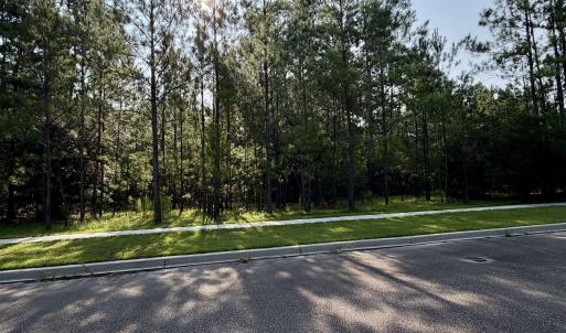 Photo #5 of 121 Pineberry Dr., Georgetown, SC 0.1 acres