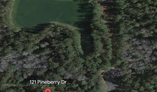 Photo #2 of 121 Pineberry Dr., Georgetown, SC 0.1 acres
