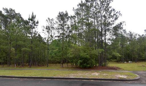 Photo #1 of 121 Pineberry Dr., Georgetown, SC 0.1 acres