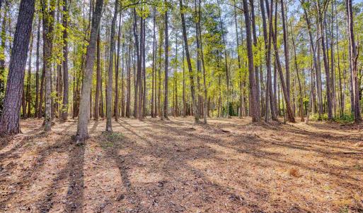 Photo #23 of 4250 Lilac Rd., Myrtle Beach, SC 3.3 acres