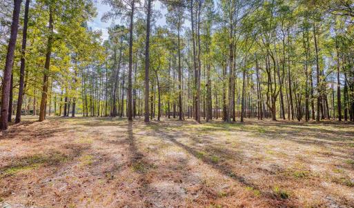 Photo #26 of 4250 Lilac Rd., Myrtle Beach, SC 3.3 acres